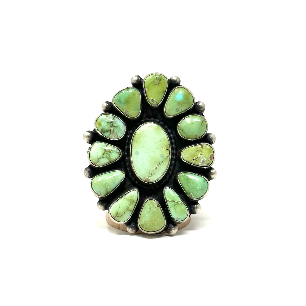 Verde Valley and Sonoran Gold Cluster Ring